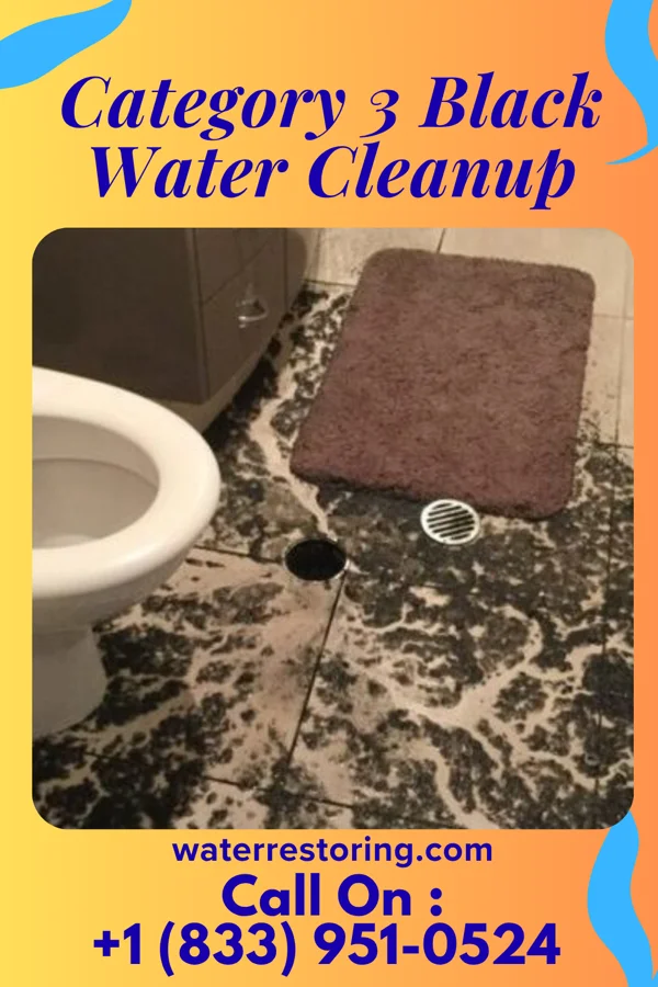 Category 3 Black Water Cleanup in Coalville, UT