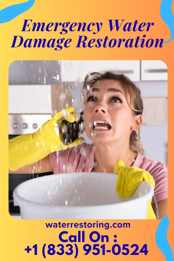 Emergency Water Damage Restoration in Coalville, UT